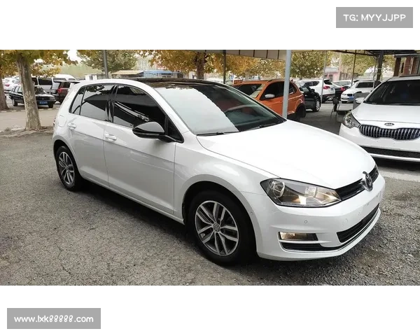 2017高尔夫赛事录像—2017年高尔夫